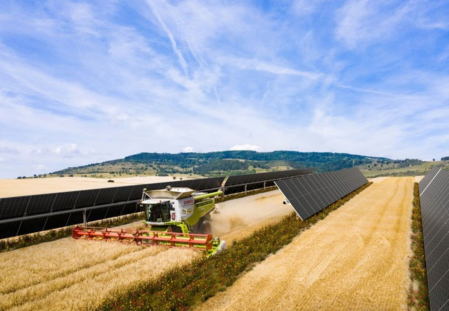 PB: Der Solarpark Alhendín kombiniert Erneuerbare Energie, Landwirtschaft sowie Biodiversität. / ©: BayWa r.e.