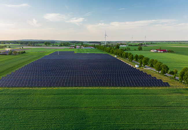 PB: Budzyn-solar-park