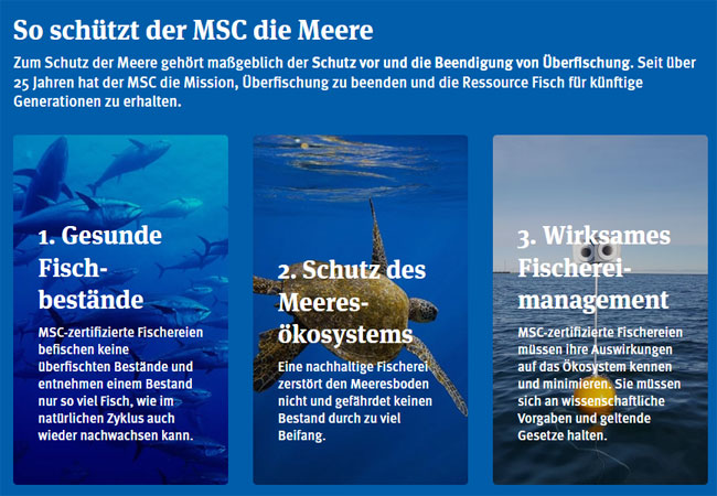 PB: So schützt der MSC die Meere / ©: MSC