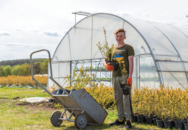 PB: RWE pflanzt und sät an einer Agri-PV-Demonstrationsanlage mit 6.100 Solarmodulen / ©: RWE