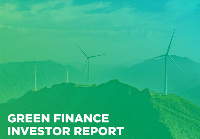 PB: Amprion-Green-Finance-Investor-Report