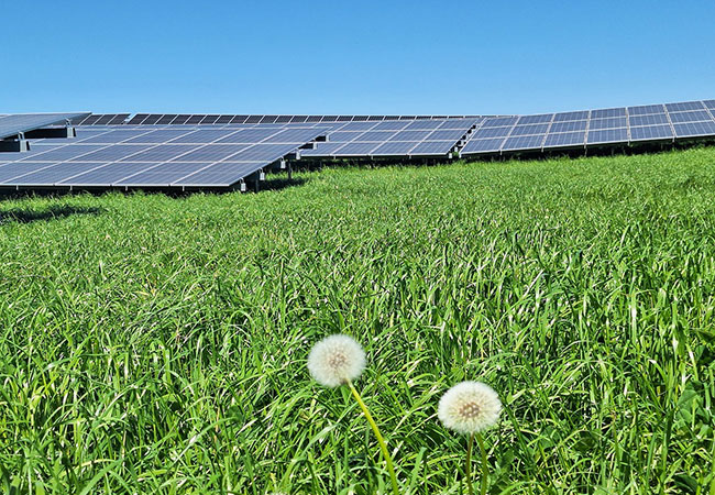 PB: Solarpark in Silberstedt / ©: Vattenfall