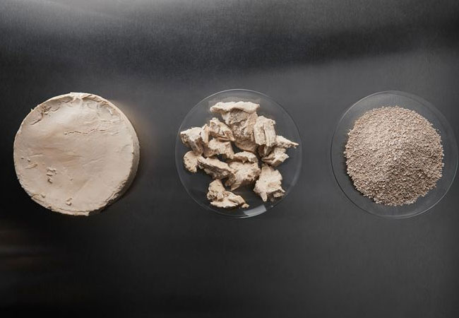 Pressefotos: Foto von Mykoprotein, zur freien Verwendung, bitte geben Sie den Fotografen an: Enifer/Iiro Muttilainen