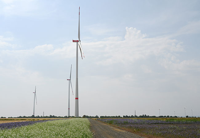 PB: Baubeginn des Windparks Kail ist ein positives Signal für den Ausbau der Erneuerbaren Energien in Rheinland-Pfalz / ©: RWE