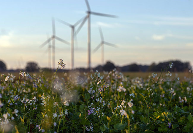 PB: In der Nachhaltigkeitsstrategie setzt sich ENERCON unter anderem klare Ziele bei Umwelt- und Klimaschutz. / ©: ENERCON