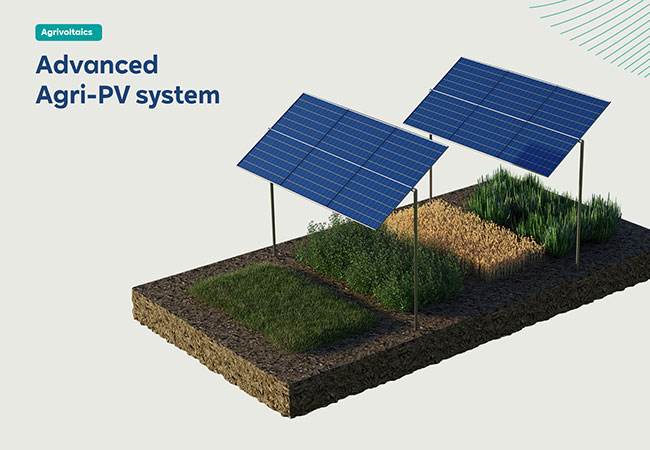 PB: RWE gewinnt zwei Agri-PV-Ausschreibungen in Italien