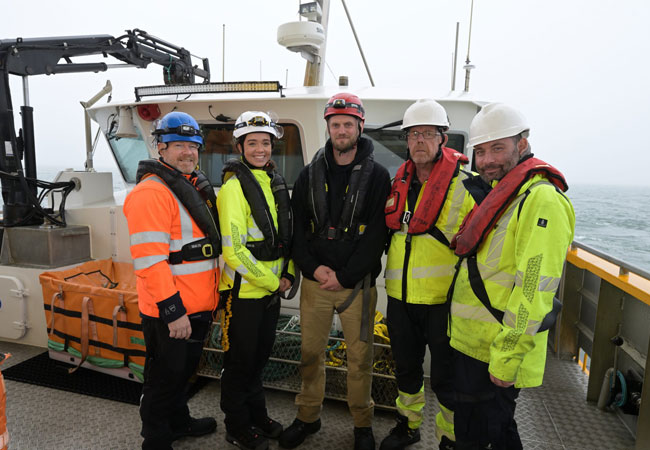 PB: RWE has joined forces with the Whitby Lobster Hatchery to release 5,000 juvenile lobsters at the site of its Triton Knoll offshore wind farm to help increase biodiversity in the North Sea. / ©: RWE