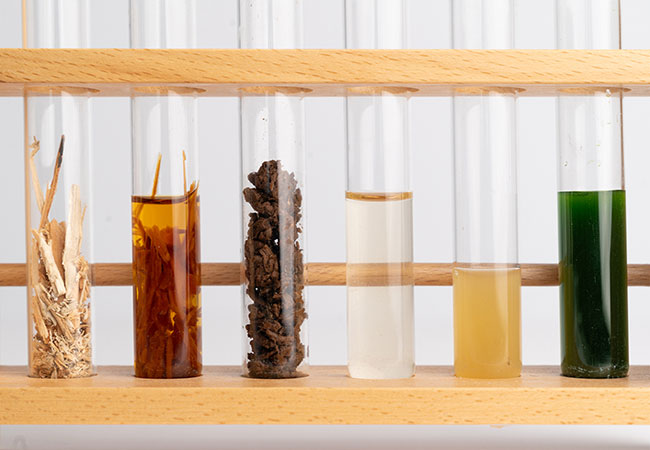 PB: Von links: Unbehandeltes Altholz, Holz in der Aufschlusslösung, Cellulosefasern (nach Kochung und Waschgang), Zuckerlösung aus Cellulosefasern, anaerober Wasserstoffproduzent (Bakterien), Mikroalgen / ©: Fraunhofer IGB