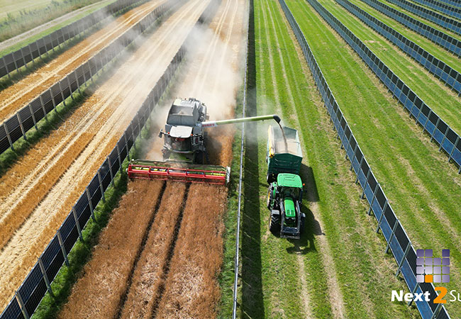 PB: Gerstendrusch 2024 im Agri-Solarpark Donaueschingen. / ©: Next2Sun AG
