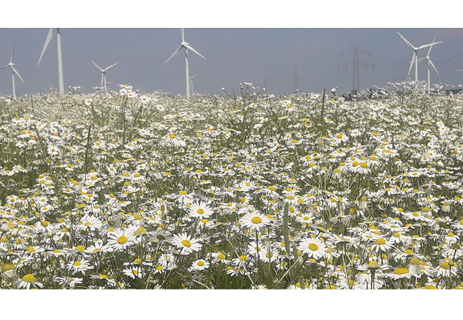 PB: WindGISKI - Entwicklung eines KI-basierten Geoinformationssystems zur Unterstützung für die Windenergieflächenbewertung / ©:Hochschule Bremerhaven / Foto: Sandra Peters-Erjawetz