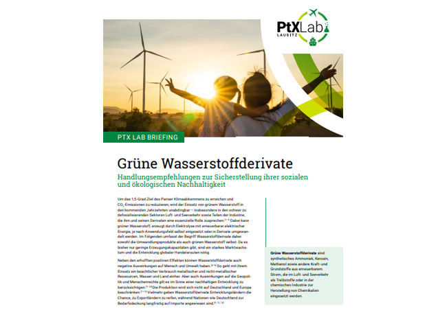PB: PtX Lab Briefing – Grüne Wasserstoffderivate Handlungsempfehlungen