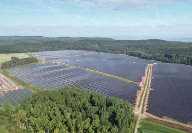 PB: Bei der Errichtung der 125 Megawatt-Photovoltaik-Anlage haben die Projektpartner Naturschutzmaßnahmen berücksichtigt / ©: EGIS eG
