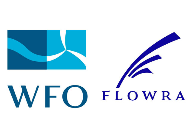 PB: World Forum Offshore Wind und japanische Floating Offshore Wind Technology Research Association beschließen Zusammenarbeit