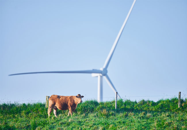 PB: RWE and Sanofi sign a 20-year Renewable Power Purchase Agreement
