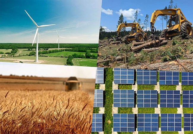 PB: Biomasse ist wie die Windenergie für Europas Klimaziele von entscheidender Bedeutung