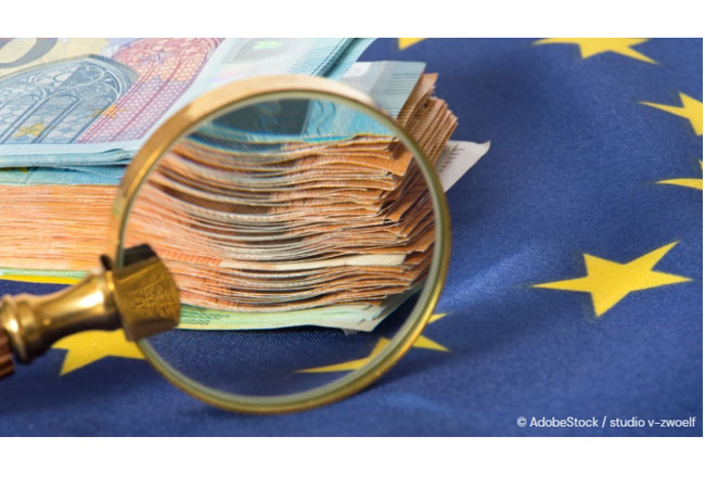 PB: Wohin fließen die Gelder? Euro-Scheine unter der Lupe / ©: AdobeStock / studio v-zwoelf / DNR