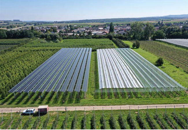 PB: Flächenpotenzial für Agri-Photovoltaik in Deutschland übertrifft Ausbauziele für Klimaschutz