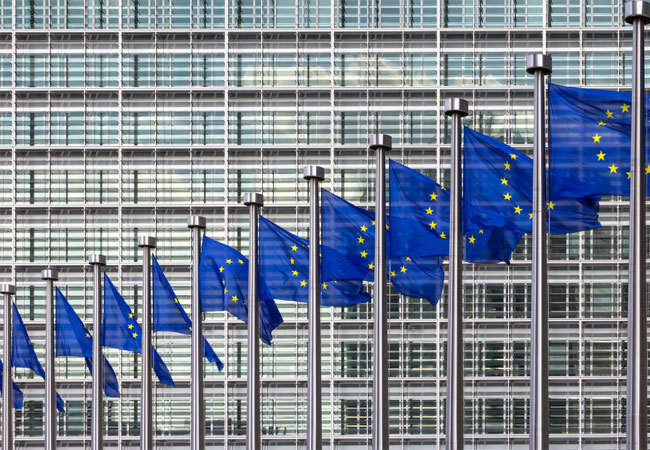 PB: EU-Rekordhaushalt? Kürzungen bei Klima, Biodiversität und nachhaltiger Landwirtschaft gefährden Wirtschaftsstandort Europa / ©: BNW