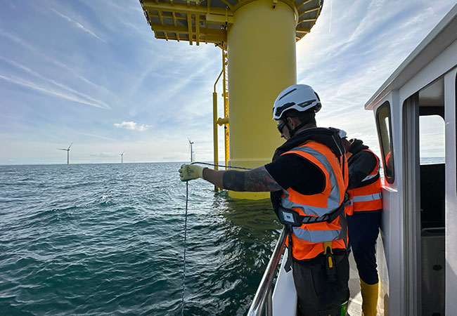 PB: RWE und ARC marine fördern Artenvielfalt durch innovativen Kolkschutz im Offshore-Windpark Rampion vor der Südküste Englands / Bildnachweis: ARC marine