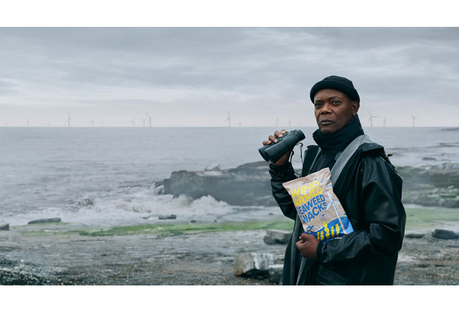 PB: Wind Farmed Seaweed Snacks – eine Spezialität direkt aus dem Offshore-Windpark
