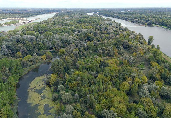 PB: Blick auf den Rhein und die umliegende Natur / ©: EU4Regions / Fotograf: Christophe Gateau
