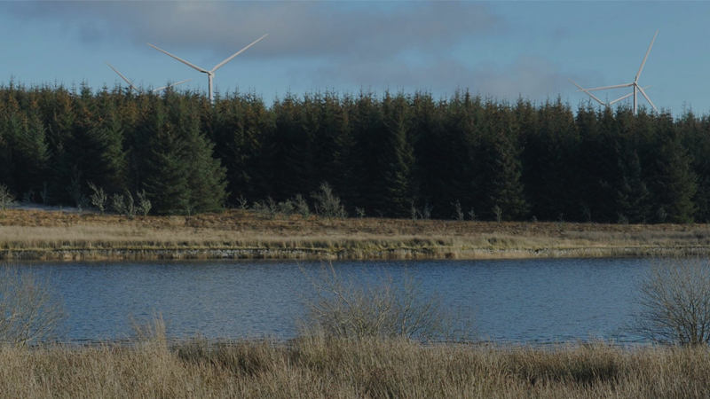 PB: Natural Power unterstützt RWE bei der Erlangung der Baugenehmigung für den Windpark Alwen Forest und den Netzanschluss