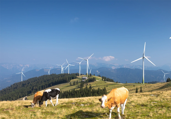 PB: Weltweit fährt der Zug in Richtung sicheres, günstiges und sauberes Energiesystem durch Erneuerbare. / ©: IG Windkraft