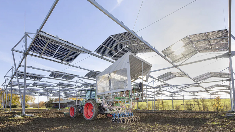 PB: Agri-Photovoltaik-Forschung macht die Landwirtschaft widerstandsfähiger gegen Klimastress / ©: Universität Hohenheim