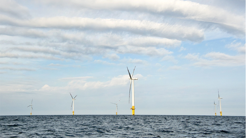 PB: Ein Windpark in der Nordsee (Quelle: BSH/Claudia Thomsen)