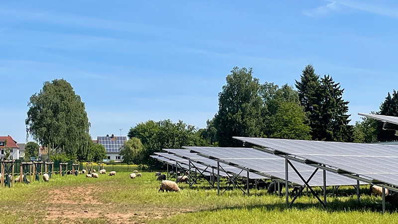 PB: Die YKK Deutschland GmbH hat sich mit der nahegelegenen Schule zusammengeschlossen, um eine 2.500 Quadratmeter große Biodiversitätszone rund um die Solaranlage zu schaffen, die als Bildungsressource für Schülerinnen und Schüler dient / ©: YKK Deutschland GmbH