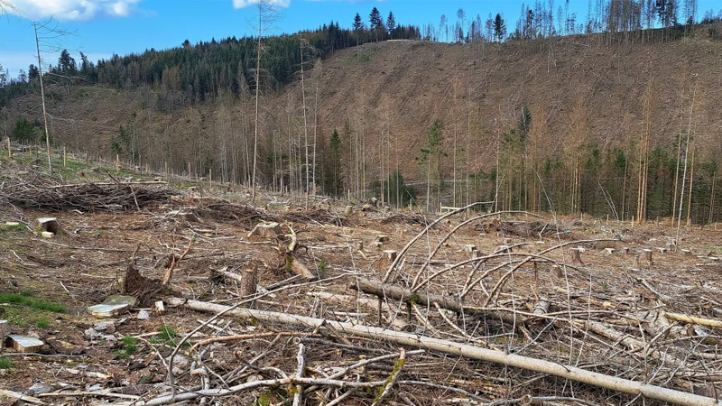 Hochschule Weihenstephan-Triesdorf als einzige HAW am Bayerischem Netzwerk für Klimaforschung 2 (bayklif2) beteiligt