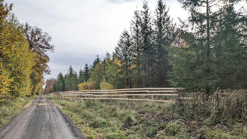 PB: Das bereits errichtet Hordengatter – eine einfache, aus Holzlatten bestehende Absperrung – grenzt sichtbar die Rodungsbereiche ab und schützt vor unzulässigen Eingriffen. / ©: Qair Deutschland 