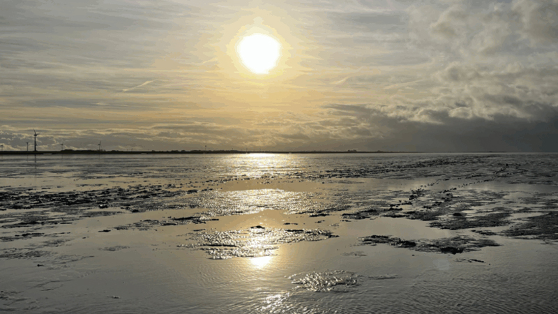 PB: Enshore Subsea erhält Auftrag für deutsche Offshore-Netzprojekte