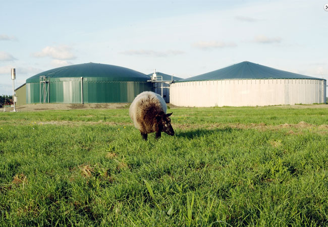 Animal excrement, regrowing agricultural materials and organic waste serve as raw materials. / Pressebild