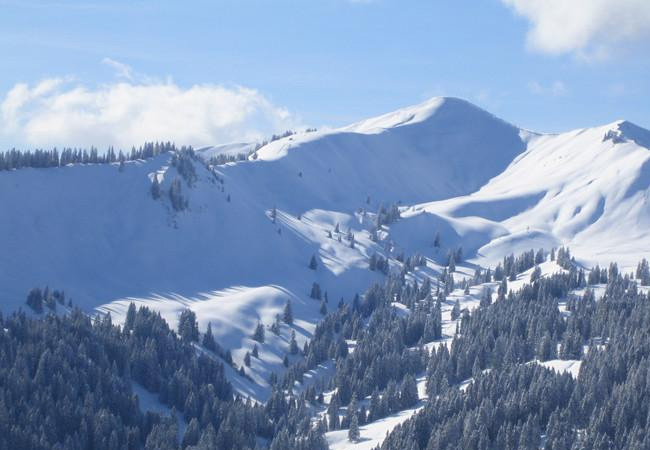 Die geplante Piste durch ein geologisches Risikogebiet / Pressebild