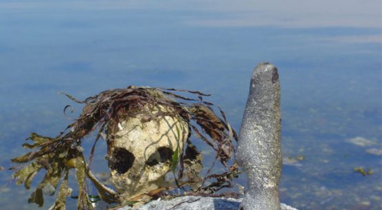 Die Verschmutzung von Nord- und Ostsee durch Schwerölrückstände ist seit Anfang 2015 deutlich zurückgegangen / Foto: HB